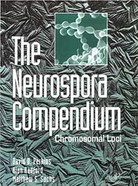 Cover of Compendium magazine