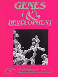 Cover of Genes & Development 1989